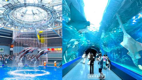 珊瑚盪娃|東京品川水族館｜室內水族館 Maxell Aqua Park ｜打卡熱門東京 